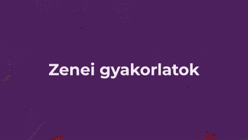 VIII. FEJEZET - ZENEI STÍLUSOK