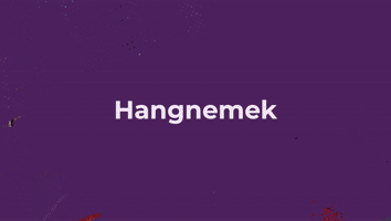 X. FEJEZET - HANGNEMEK, TECHNIKÁK
