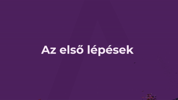 I. FEJEZET - AZ ELSŐ LÉPÉSEK