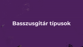 I. FEJEZET - A BASSZUSGITÁROZÁS ALAPJAI