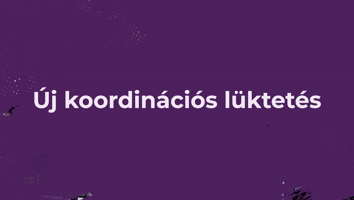 VI. FEJEZET - ÚJ KOORDINÁCIÓS LÜKTETÉS