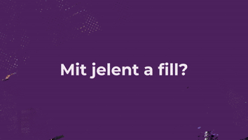 IX. FEJEZET - MIT JELENT A FILL?