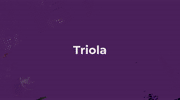 V. LECKE - TRIOLA