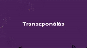 IV. LECKE - TRANSZPONÁLÁS