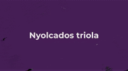 VII. Lecke - Nyolcados triola