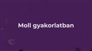 V. Lecke - Moll a gyakorlatban