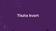 I. Lecke - Tiszta kvart