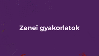 VIII. FEJEZET - ZENEI STÍLUSOK