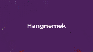 X. FEJEZET - HANGNEMEK, TECHNIKÁK