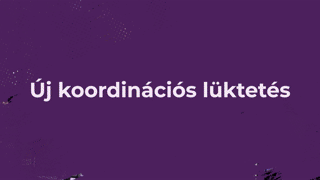 VI. FEJEZET - ÚJ KOORDINÁCIÓS LÜKTETÉS
